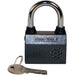 Small Zinc Alloy Rust Resistant Padlock & Siren Alarm 100dB
